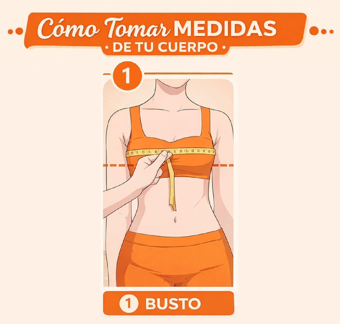 1- Medición del Busto